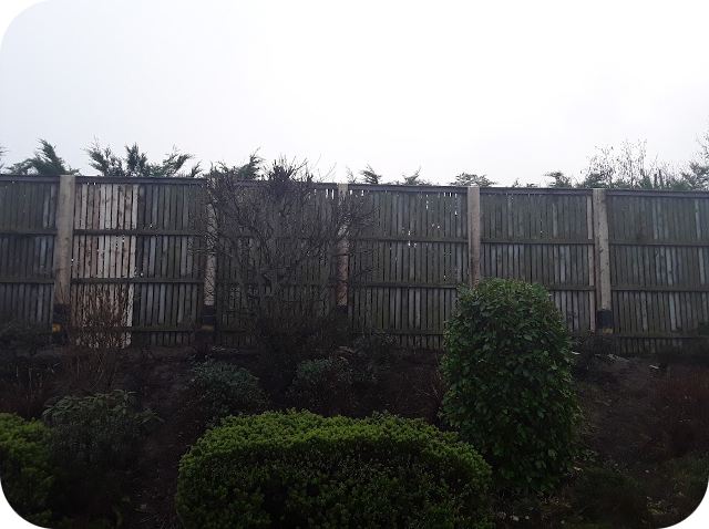 Fencing, Decking Paving